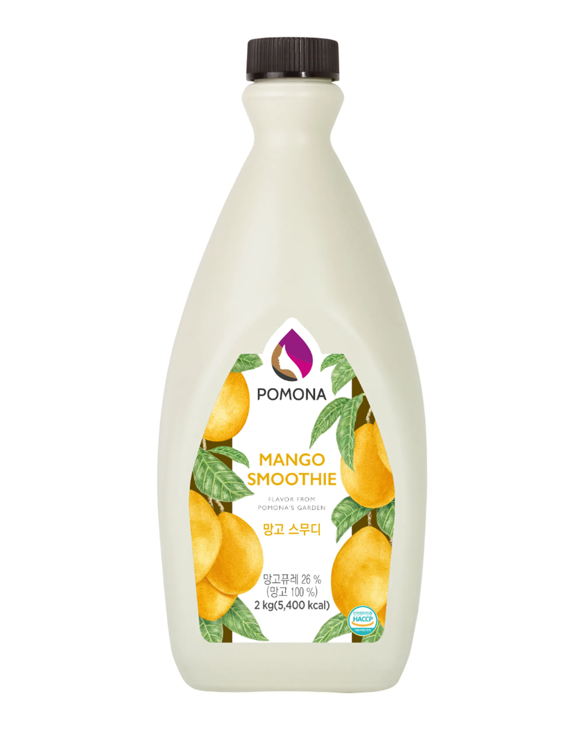 Mango Smoothie - 2kg