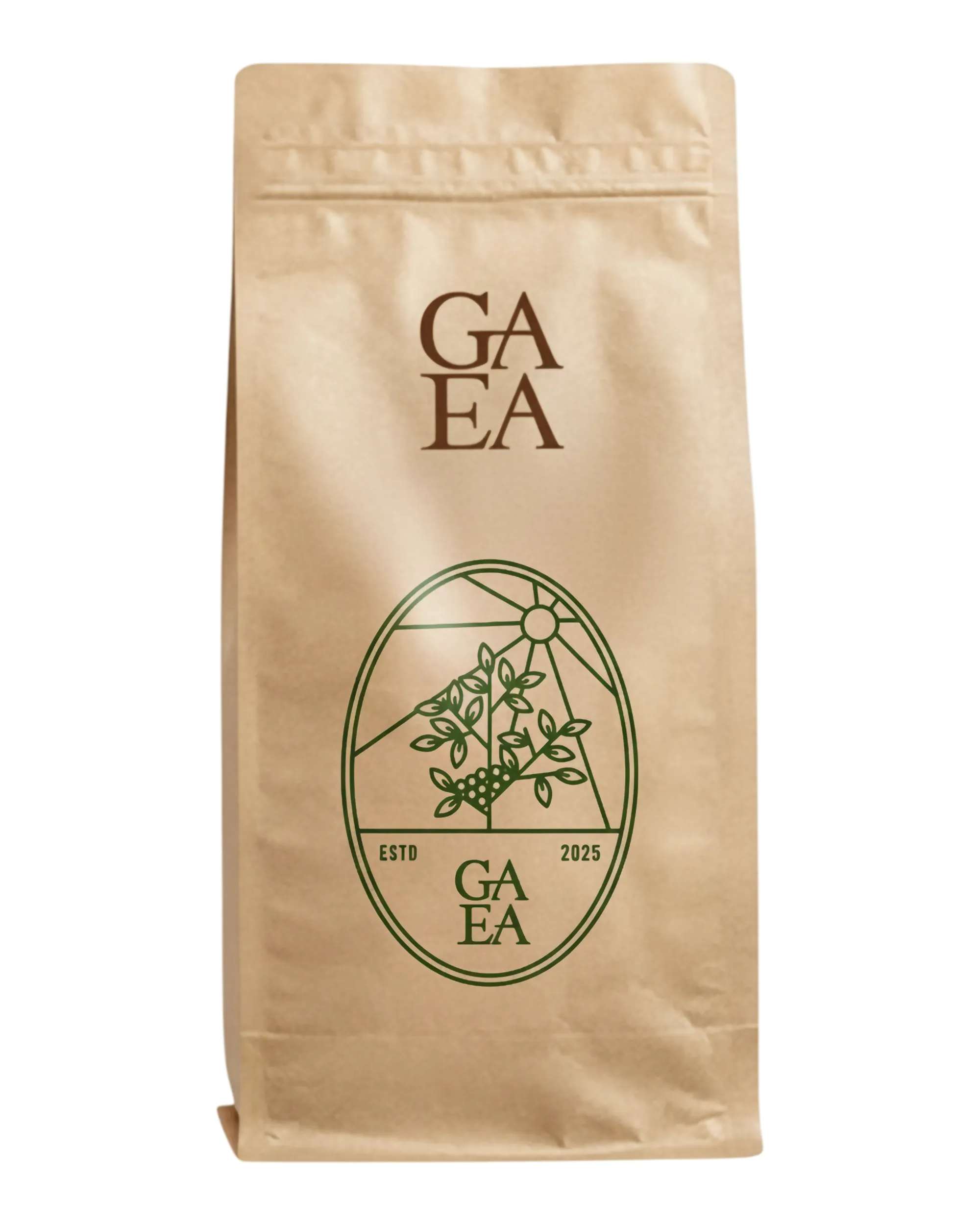 Gia Lai အရည်အသွေးမြင့် Robusta ကော်ဖီ - ၁ ကီလိုဂရမ်